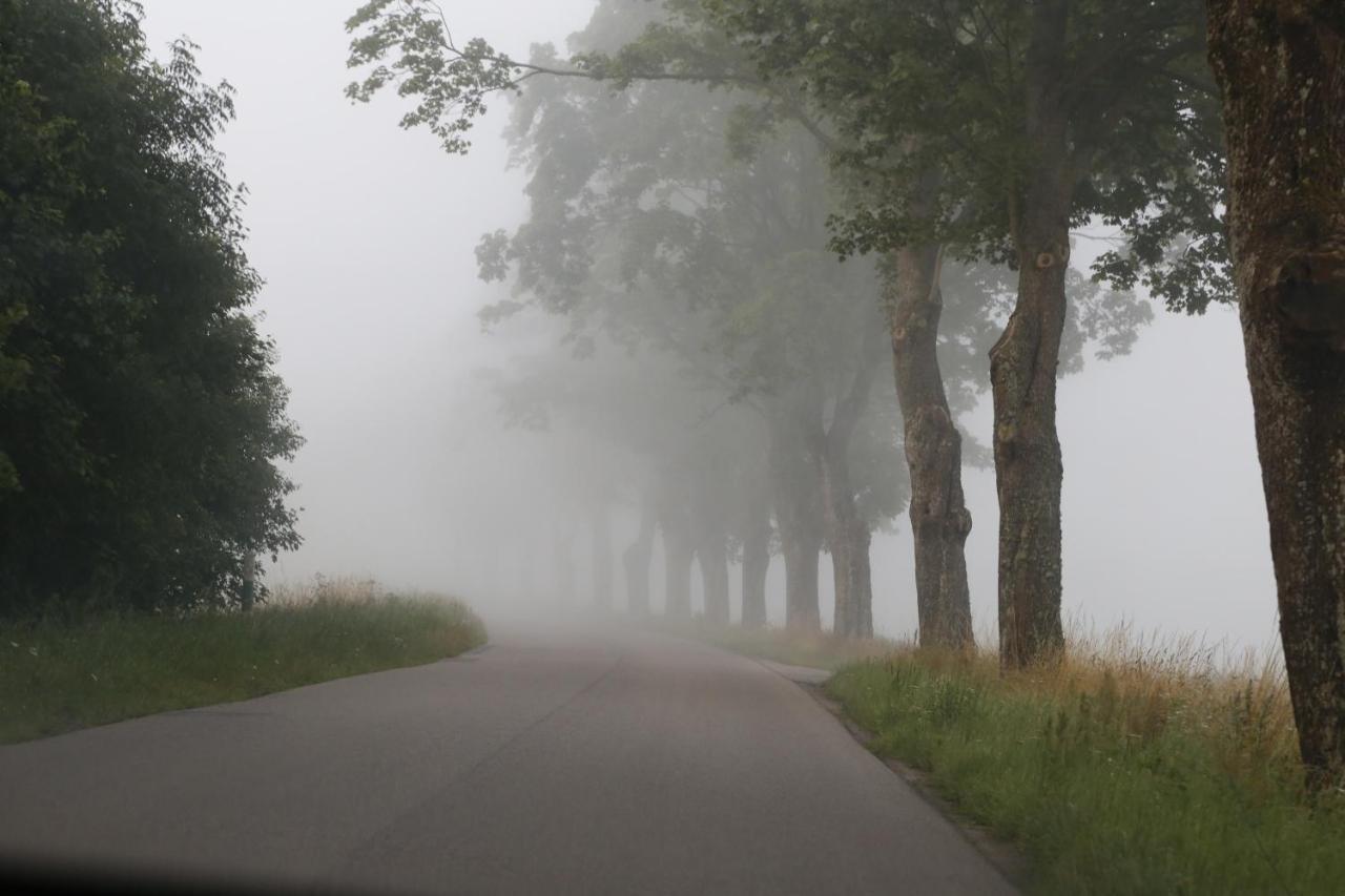 Slowinskie Widoki Domki Flora, Fauna, Noclegi Smoldzinski Las Exteriör bild