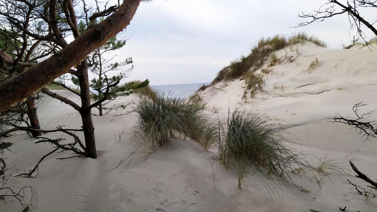 Slowinskie Widoki Domki Flora, Fauna, Noclegi Smoldzinski Las Exteriör bild