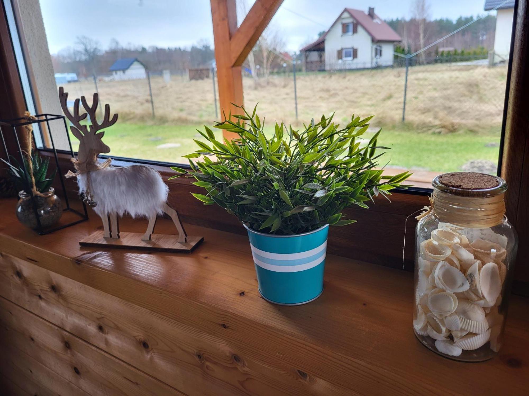 Slowinskie Widoki Domki Flora, Fauna, Noclegi Smoldzinski Las Exteriör bild